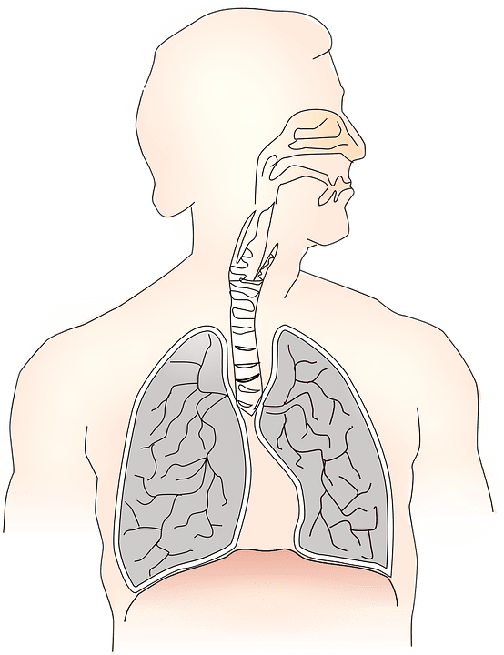 respiratory stimulants